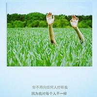 嘉丽妹妹英文读后感集合