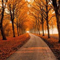 70周年阅兵观后感文章集合