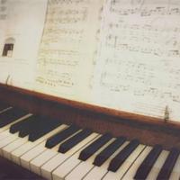 肖邦学钢琴的读后感合计