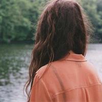 蜘蛛的宝石读后感50字汇聚