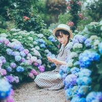 野草好诗好句读后感整理