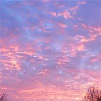 新闻联播第一集观后感合计