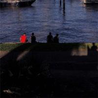 读种种有情种种有爱读后感细选