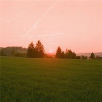 冰雪皇冠读后感20字汇集