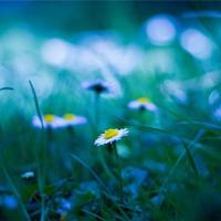 颐和园记录片观后感三百字细选