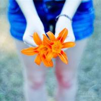 观看宪法观后感1500字汇合