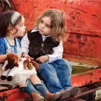 远东朝鲜战争王树增读后感摘录