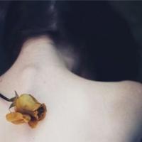 胡萝卜姑娘的读后感20字选录