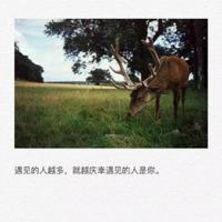 冰心的诗集读后感400字精练