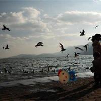 十宗罪1读后感40字汇合