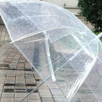 减肥的读后感450字精选