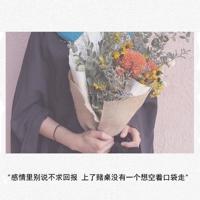 迷途观后感450字左右细选