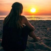 绿叶的情谊读后感总汇