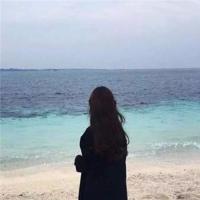 杀破狼贪狼的观后感精练