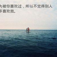 番茄太阳阅读后感精练