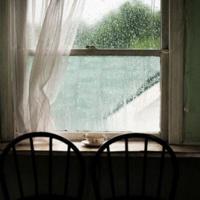 读舐犊之情观后感收集