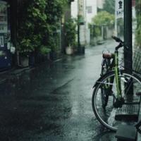 我们诞生在中国观后感摘录