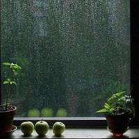 发胶电影观后感英文汇总