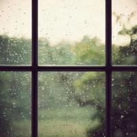 二十四节气节的故事读后感合计