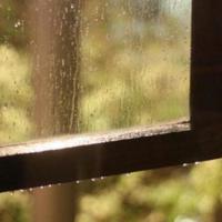 十一朗诵比赛观后感摘录