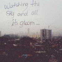 黑姑娘中文读后感整理