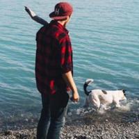 鸟巢观后感300字精练