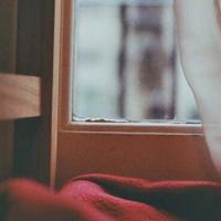 翠绿的歌阅读观后感汇聚