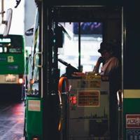 绘本大家来逛动物园读后感聚集