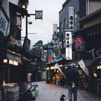 安吉游戏观后感五百字聚集