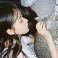 蜘蛛的迁徒读后感精练