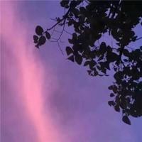 狄仁杰读后感50字左右整理