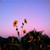 论语家长读后感小学二年级合计