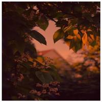 山河无恙人间皆安观后感细选