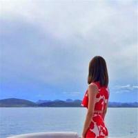 暖情观后感50字以上聚集