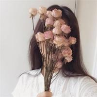 秋夜这本书的读后感400精练