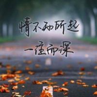 怪手杖抽陀螺读后感集锦