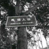 老师也疯狂观后感500字选录