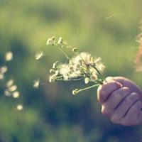 货币银行学黄达读后感收集