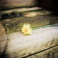 钱塘潮100字观后感细选