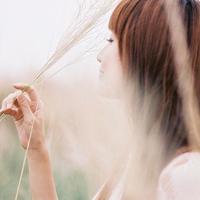 食品观后感100字左右聚集