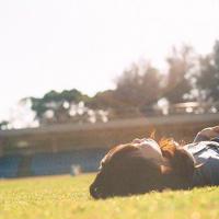 传递爱的旋律读后感350整理