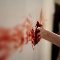 种种有情的读后感合计