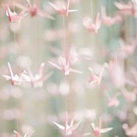 美丽的巴拿马读后感锦集