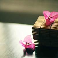 偷星九月天读后感作文细选