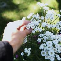 写一首诗的读后感300字摘录