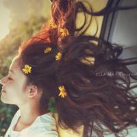 二次元演唱会观后感选录