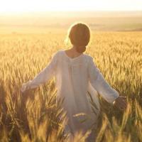 少数派报告小说读后感细选