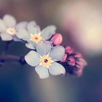 奇妙的假期读后感300字聚集