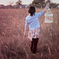 泡泡去哪儿读后感汇合