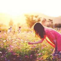 走近科学观后感300合计